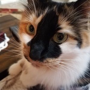 Meet your Posher, Jeralyn